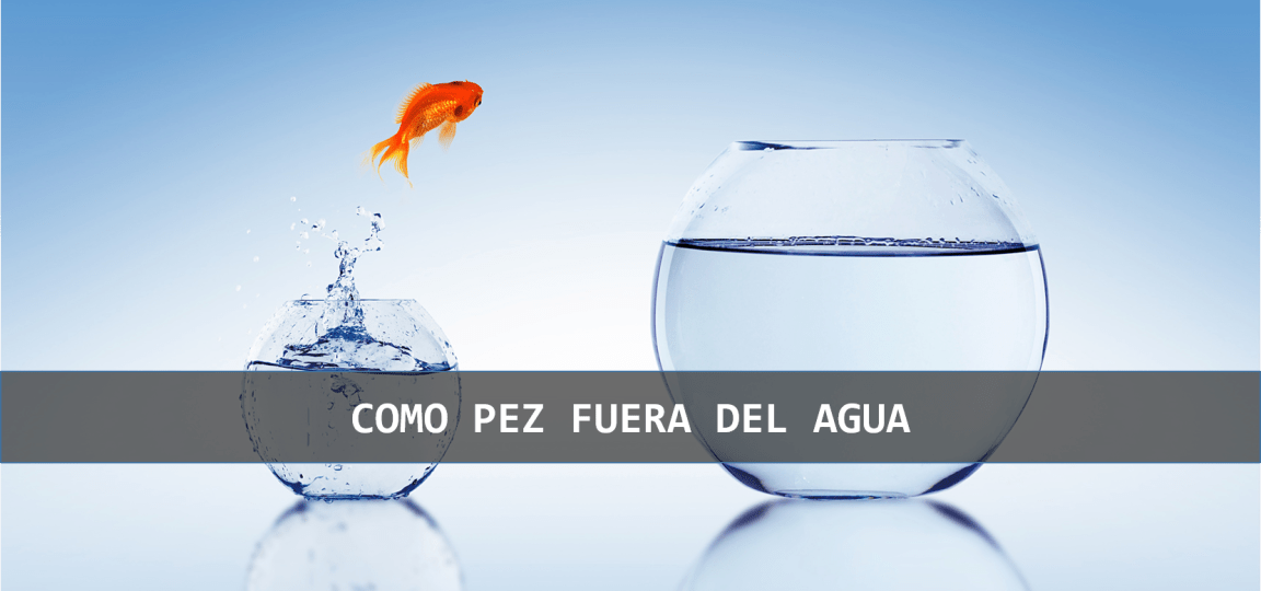 como pez fuera del agua